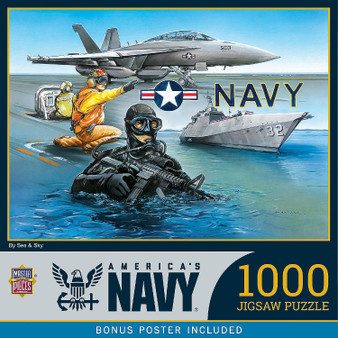 America's Navy Puzzle