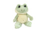 Flip Frog
