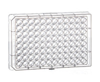 96-655201 - 96 Rnd Collection Well-plt, PP ,Flat,300uL,100/p 96-655201 - 96 Rnd Collection Well-plt, PP ,Flat,300uL,100/p