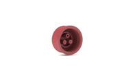 Bottle cap Bottle cap