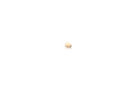 10-21-00300 - OPTI-LOK LP Ferrule for 1/16" OD Tubing, PTFE