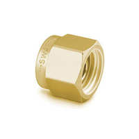 Brass plug Brass plug