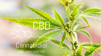 Increase Accuracy and Time Savings in Cannabinoid Analysis Sample Preparation Increase Accuracy and Time Savings in Cannabinoid Analysis Sample Preparation