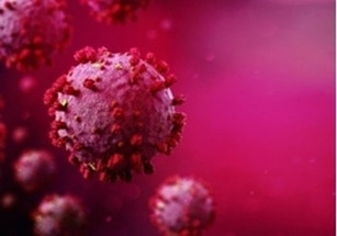 Chromatography Identifies Clinical Classifiers of COVID-19