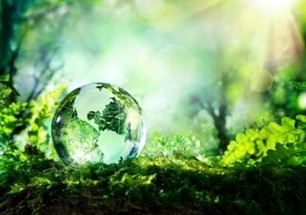 Environmental Applications of Chromatography Environmental Applications of Chromatography