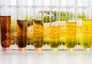 Fuel Ethanol Fermentation Analysis by HPLC