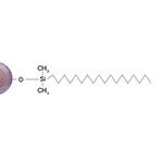 EC-C18 Particle