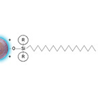 CS-C18 Particle