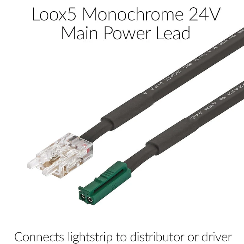 Loox5 Flexible LED Light Strip 3145 Monochrome 24V Cut to Length - Main Power Lead