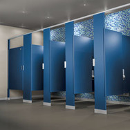 Click here to shop for Bathroom Dividers