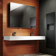 Click here to shop for ASI Matte Black Bathroom Accessories