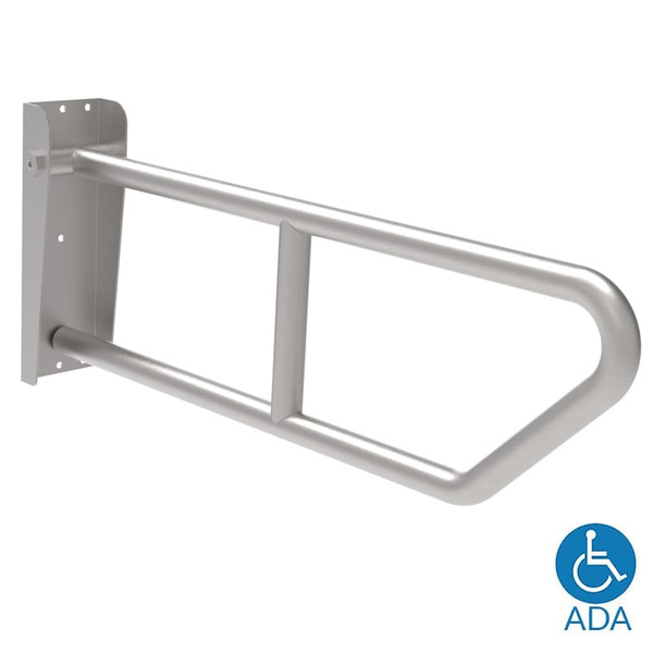 Stainless Steel Swing Up Grab Bar with Toilet Tissue Holder - Bradley