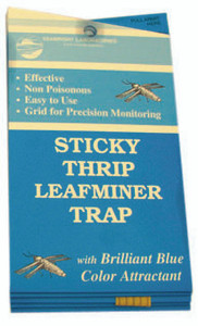 Seabright Laboratories | Thrip/Leafminer Traps, 5 pack