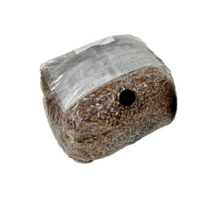 Myco Labs | Organic Rye Grain Spawn Bags