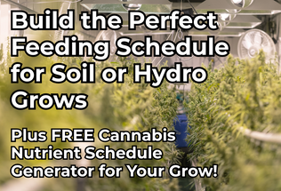 How to Build a Cannabis Nutrient Schedule (Soil or Hydro)