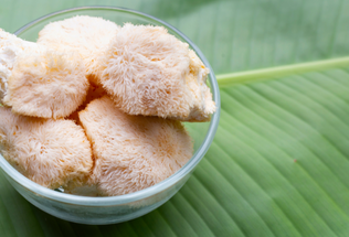 Unveiling Nature's Medicine Cabinet: The Health Benefits of Different Mushroom Varieties