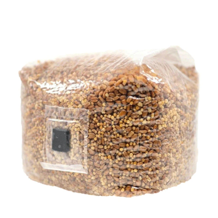 North Spore | Sterilized Grain Bag Side
