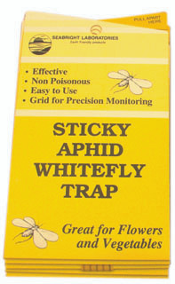 Seabright Laboratories | Aphid/Whitefly Traps, 5 pack