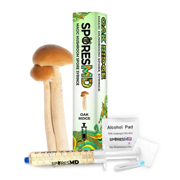 SporesMD | Oak Ridge | Mushroom Spore Syringe