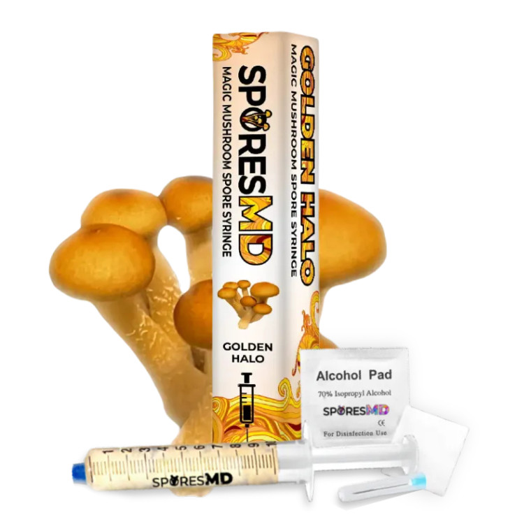 SporesMD | Golden Halo | Mushroom Spore Syringe