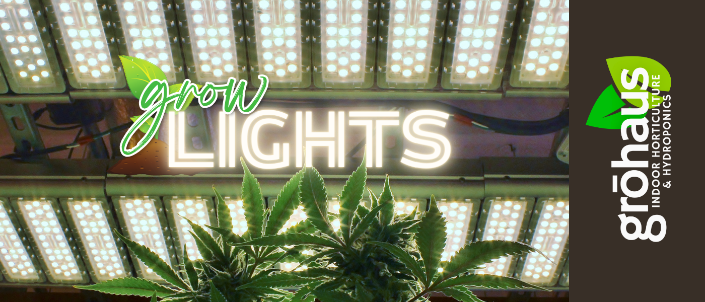 Grow Lights Guide