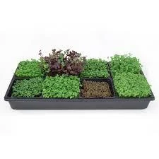 Seeds — Microgreens, Sprouting & Wheatgrass