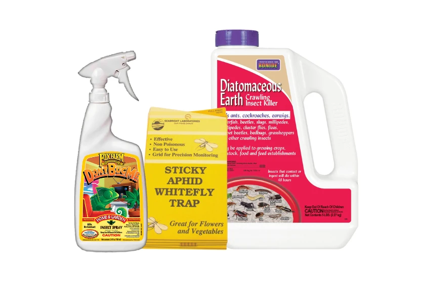 Pest & Disease Control
