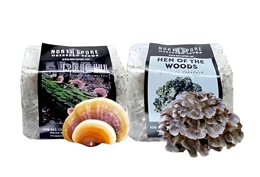 Mushroom Cultivation