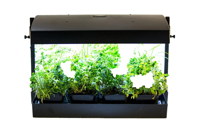 Microgreens & Sprouting