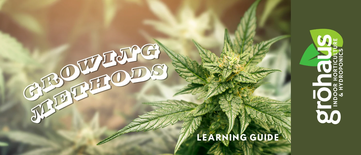Growing Methods