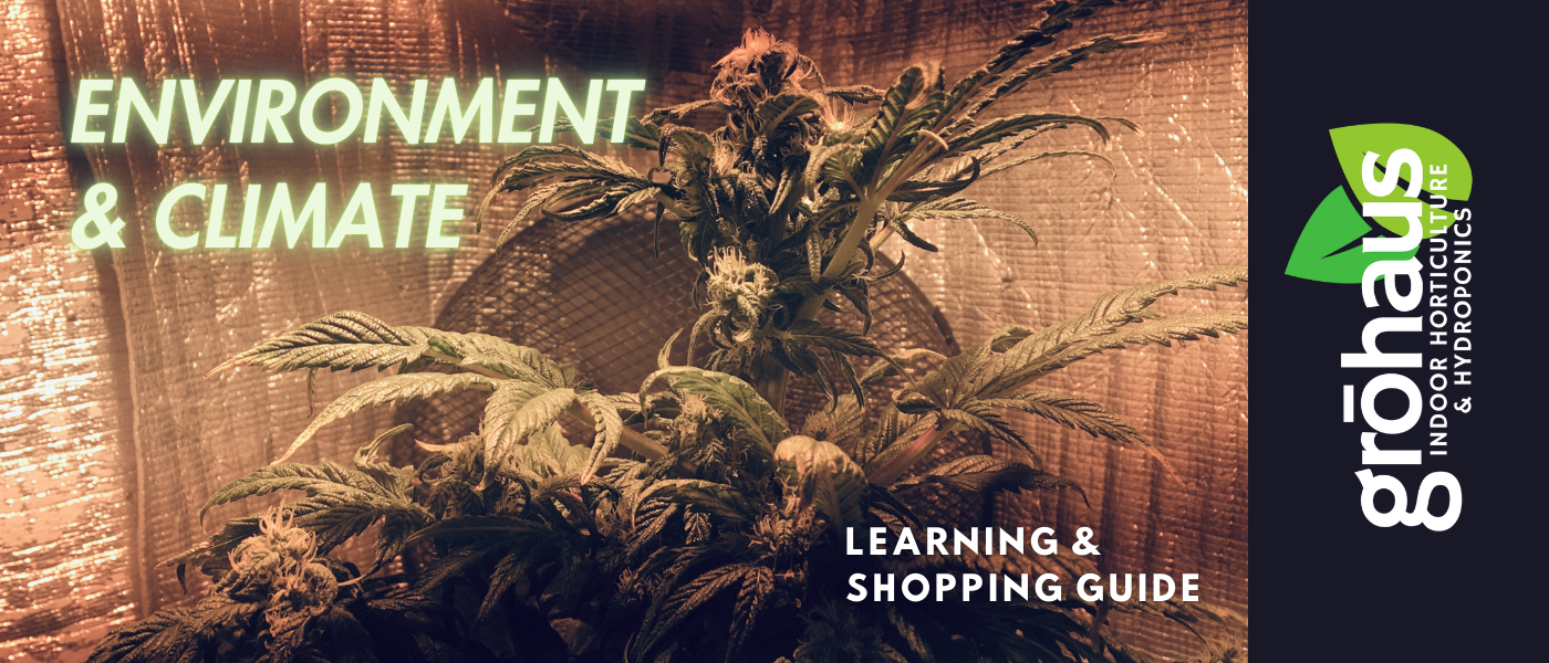 Environment & Climate Learning Guide