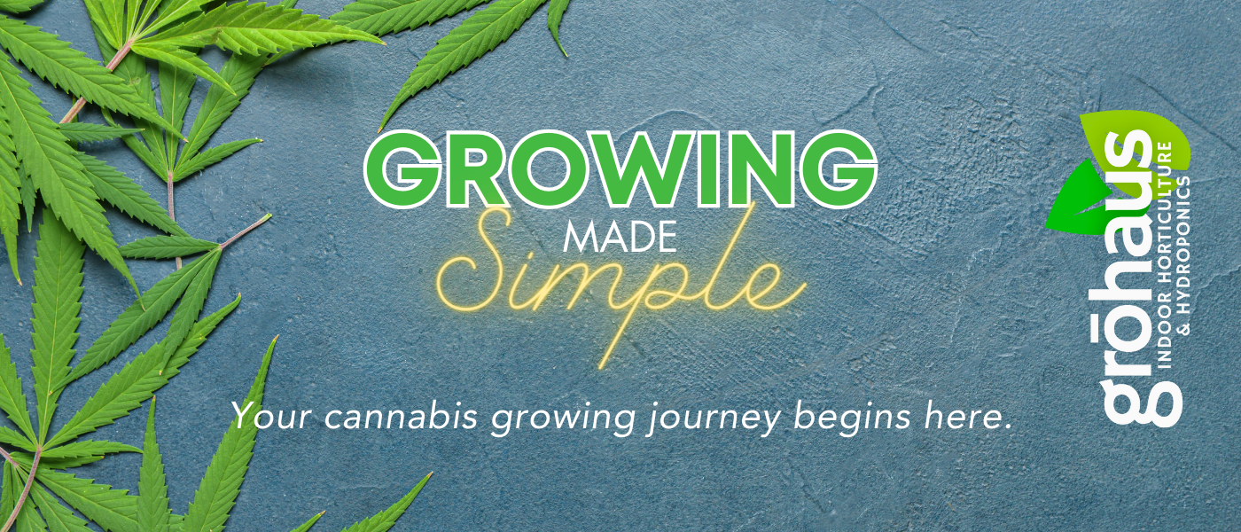 Cannabis Learning Center