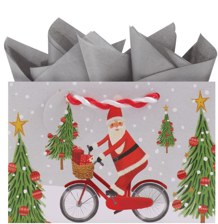 SMALL BAG 6"W x 4"H x 2.75"D