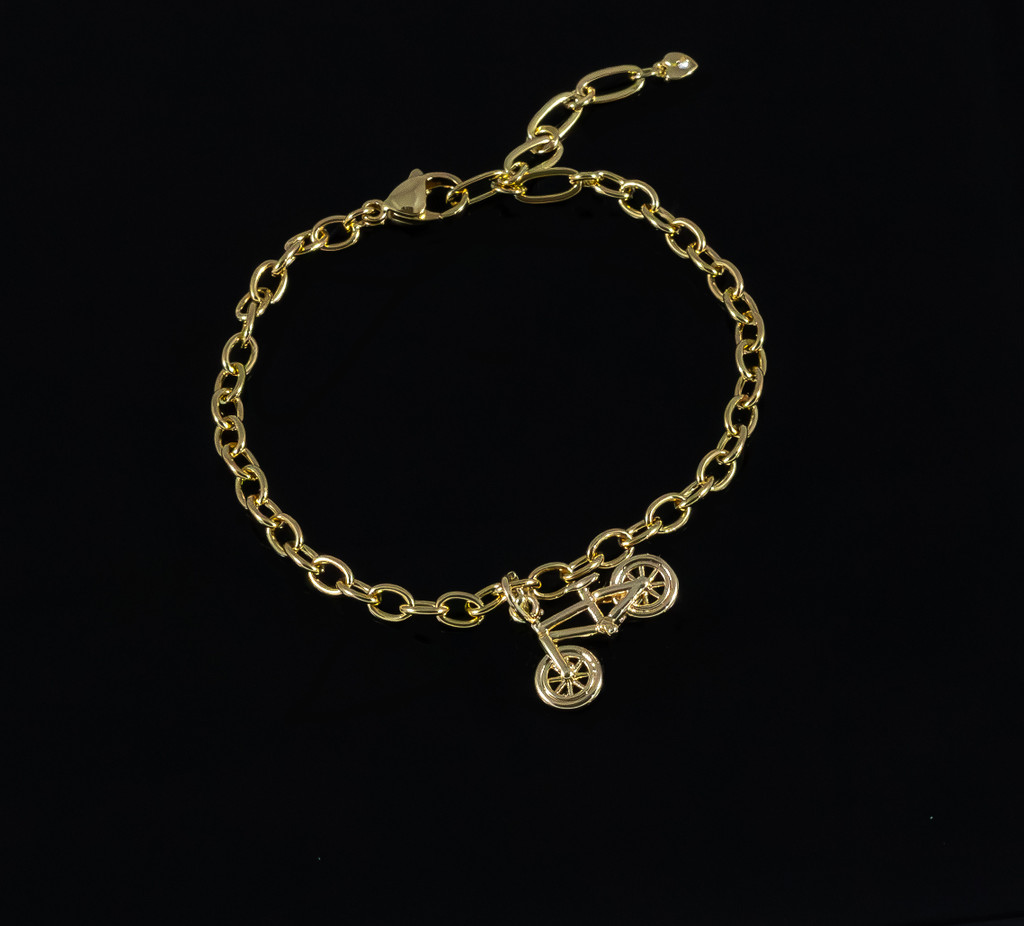 Elegant Oval Link Bicycle Charm Bracelet