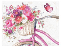 Blush Bicycle Boxed Note Cards
