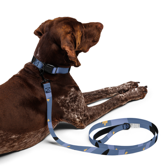 SC Pet Custom Collar & Leash