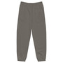 SC Mighty Jogger Pants  (Shipping discount)