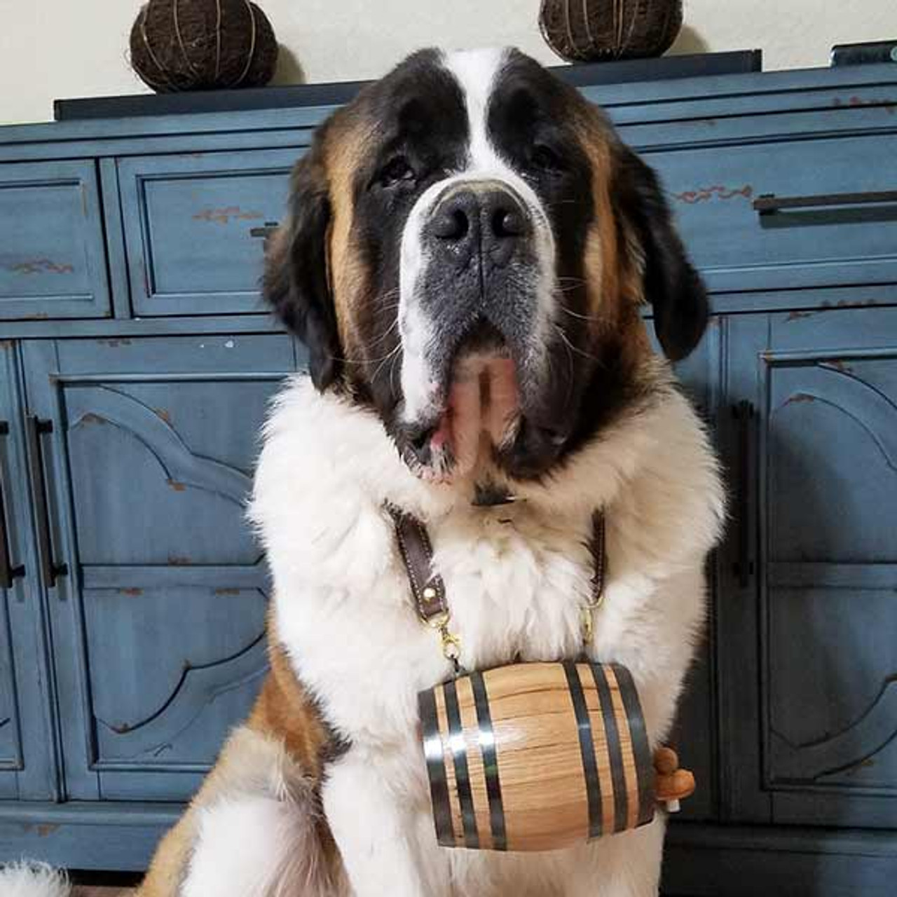 Saint Bernard Dog Collar Barrel