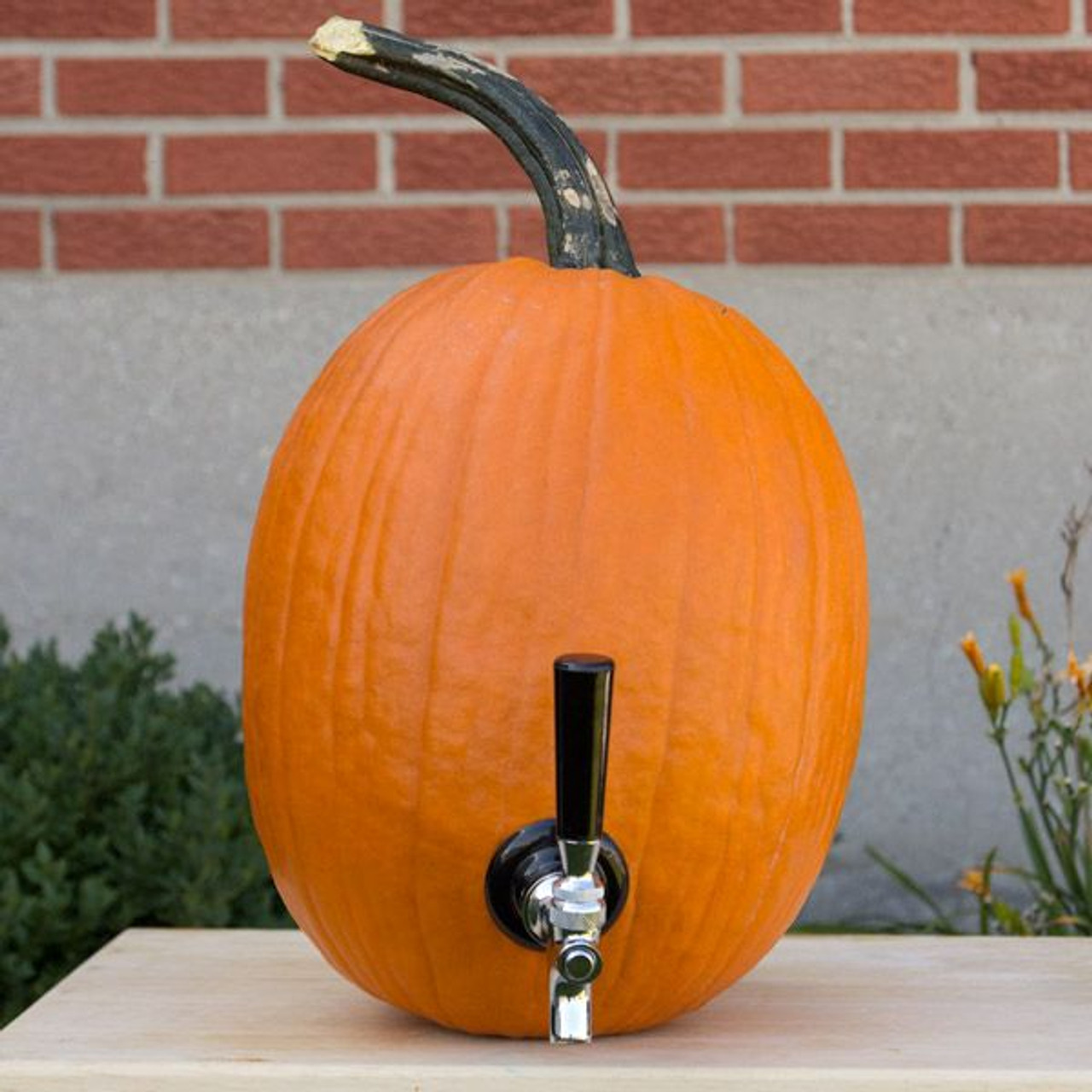 Party On Tap Pumpkin Tapping Kit Thanksgiving Includes Paper Straws Keg Spout for Halloween or Pumpkin Party Decorations 