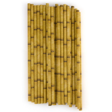 Aardvark Eco-Friendly Paper Cocktail Straws - White - 5.75L - Box of 875  Straws