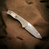 Medford Knife & Tool Praetorian Slim S45VN Custom Sculpted Dimples