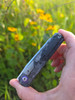 Kizer Feist 3