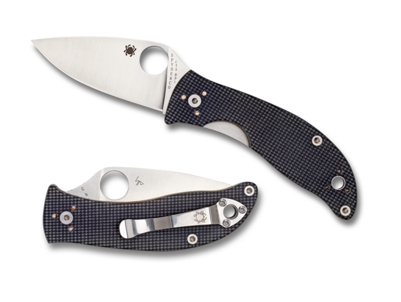 Spyderco Alcyone C222GPGY Gray G10 Drop Point CTS-BD1