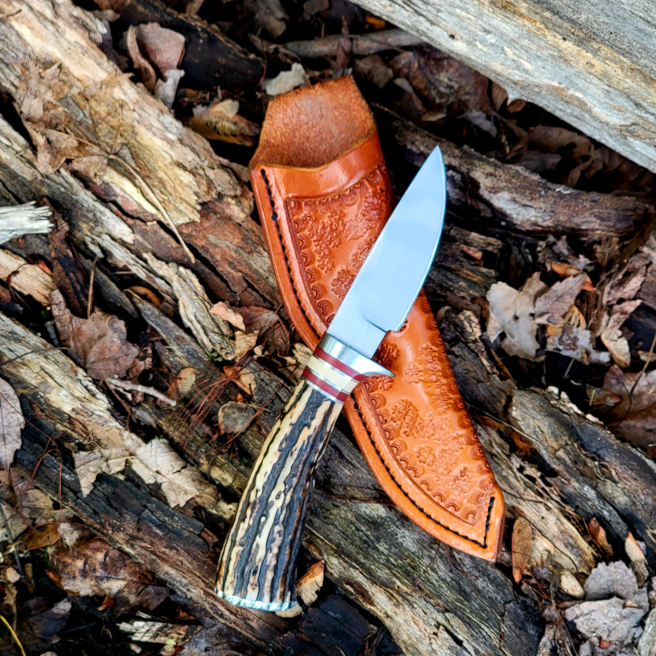 Jim Coffee Custom Handmade Stag Horn Fixed Blade