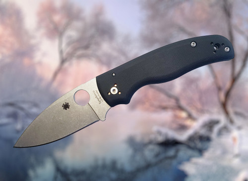 Spyderco Shaman Plain Edge Black G10 C229GP