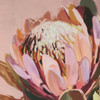 Vibrant Protea II Print on Canvas with Walnut Frame - 82.5 x 82.5 x 4.5cm
