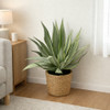 Artificial Agave Americana 65cm