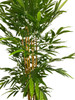Artificial Bamboo Plant in Black Pot - 210cm