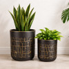 Claude Iron Planters in Matte Black & Gold