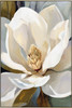 Cream Magnolia I Print on Canvas with Champagne Frame - 62.5 x 92.5 x 4.5cm